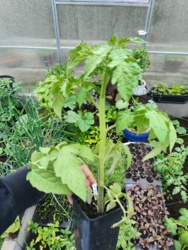 2172f752-13e4-40d8-ac62-1a478f2d5860