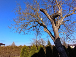 b10917d9-09e0-4a5e-8cb4-c443503f783e