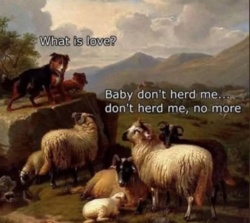 67fa5363-15db-48cd-bfa4-9ccd57d04f3d