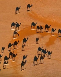 d153e373-1a7a-4674-9c70-34fd70be96b5