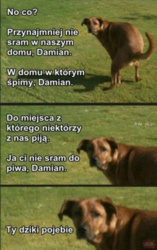 9b87a104-3281-4896-a01b-f68e142e88dc