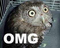 5cad8b05-c4df-4d3c-8f44-63fb8e60da92