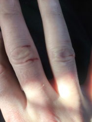 677ba27a-a82f-45f9-a149-ecf5e19d873a