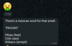 f5064541-6ef4-4b14-a0e1-67dda852953f