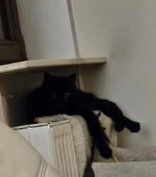 7fe0ba23-0efd-4daf-ae77-1d0cc02b73fe