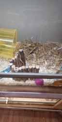 59db3312-c7cc-48e0-a101-cd8e2a130086