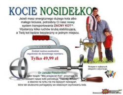 bf00cc63-9023-4ac1-a115-19f9926aea0e