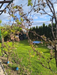 49ba08d3-f2d2-480d-99e6-7b2983007cb1