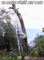 65183805-a9f8-454d-9e41-c06b3868da19