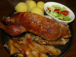 58a16f37-5087-44b1-9131-678a7f485690