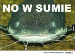 32f8f4ab-6969-4caf-88af-50c7cc8b1867