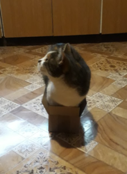 d9b3c55f-a297-4a7f-8ba8-1db910f83d5f