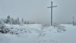 74dcbffd-db69-42ed-a2b8-4abd051798c2