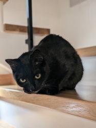 4e800200-5130-493d-87d4-eb747d1c6a85