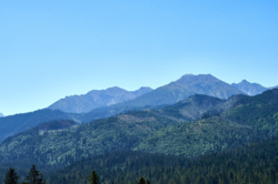 5f1beb9f-2ebb-4fa6-8b32-74a4d7172431