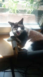 064ae498-224d-4805-94e4-c1c8dd67cde0