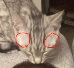 9086140a-93bb-4ea5-b783-1cff428fede7