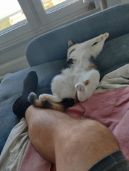 066b4928-7232-4259-a567-39d4cc08a16e