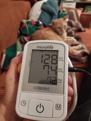 c9429619-8f17-4ab1-8172-1b4621759d04