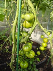 e7f7f4cf-00e7-40b6-b733-65d44ee2d02d