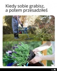 c4b837d2-1eb9-4223-8f3c-594114e1e95b