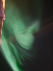 94407636-5039-4b28-b77a-5e61436942a0