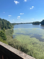 af126a83-5288-443a-a4a7-ec7fc9e07c2c