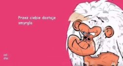 c71b1cc0-8b89-427d-b02f-2f018bcc0f97