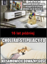 91177e12-c527-4f2c-a5cf-30e490e09534