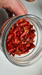 65a8f329-f1c8-46c2-abd4-f77dfd9af79d