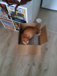 9d000001-d1c8-48b1-a2e8-bf3b71dfdbe4