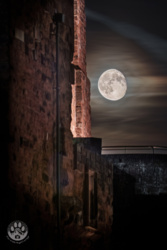 8888717a-62a7-4a98-8672-fdfe8084ccfa