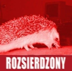 4e054b0a-e705-46a4-a1bc-319dd11780bf