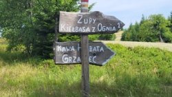 6b33cb3f-4a6b-4114-8196-7f395c11a753