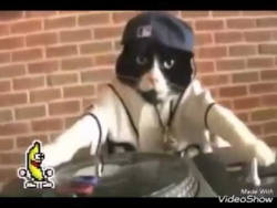 28deb6d2-f31c-4b57-bb04-3833a87fa79e