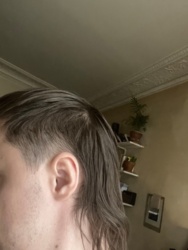 b44037cc-8331-4984-8d18-cbeafbe4e10b