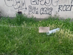 3c814fae-8a49-4368-b342-f7a7e4caefe0