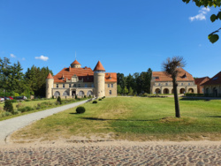 eac33906-6a38-4ae0-9866-858eabc99e98