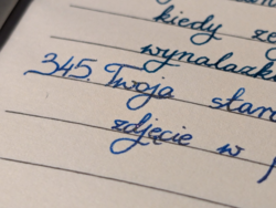 9ff916c1-4ee8-4e62-8ec0-f8c82330581f