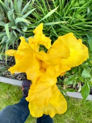 a54851b4-d82f-4b6a-bcbf-af65da4212d7