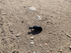 a08276e9-6e87-4cea-925f-750a09d515fb