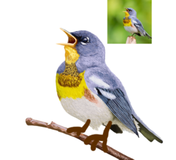 78e354f0-c294-4275-ab6a-e7367cc6864d