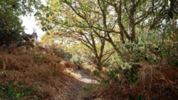 625c5335-6af1-4e7a-8950-34efb8b90a49