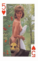 aa381092-562e-4f49-87dd-ee6f518d4acf