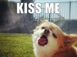 6dcf9271-56e4-470f-ae99-877a77125f5e