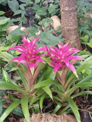 f1f7a96b-7dfc-44b6-a72d-644fede06937