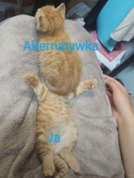 919ec3d0-a140-47d6-866a-50e2b8d07979