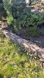 1601f8ee-bd7a-4085-9911-8358dd75813a