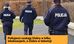 8c4b089d-a87d-4dee-a7b7-2acabdcfde2d