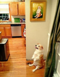 6b3a6c2b-d132-47ac-818b-275c714234ae